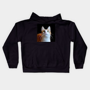 Red cat with green eyes Kids Hoodie